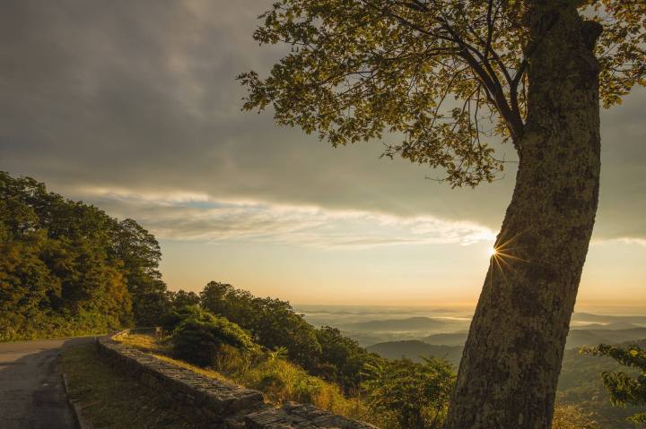 NPS Centennial Celebration: 16 Fee-Free Days for&nbsp;2016