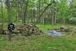 Shadow Mountain Escape. Photo by Casey L. Higgins