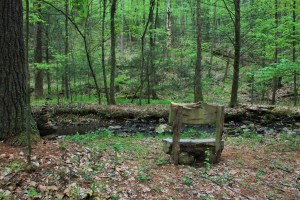 Shadow Mountain Escape. Photo by Casey L. Higgins