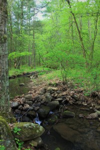 Shadow Mountain Escape. Photo by Casey L. Higgins