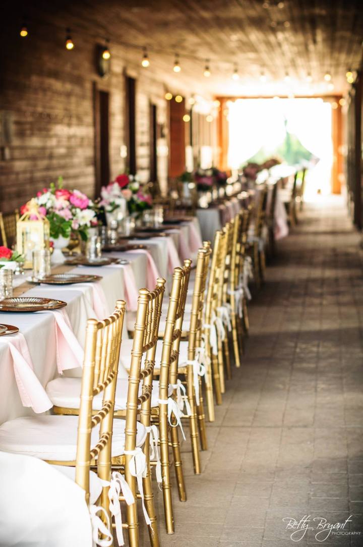 Fair Winds Farm, Virginia Beach, VA. Photo by Betty Bryant Photography