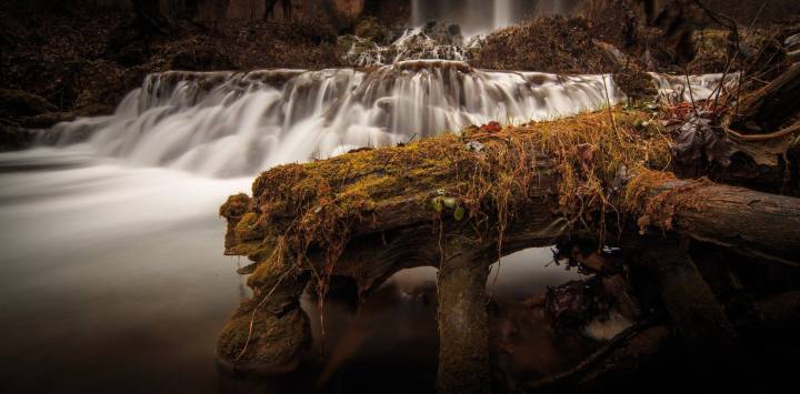 Virginia Artist of the Month: HartLight&nbsp;Photography