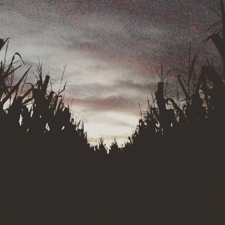 old-crow-horror-show-va_52076